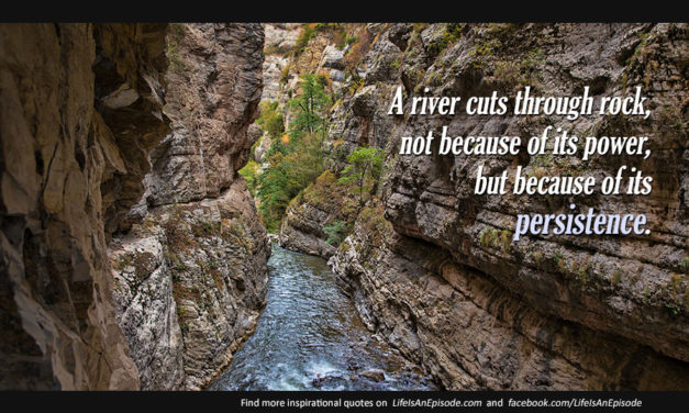 A river cuts through rock, not because of its power, but because of its persistence