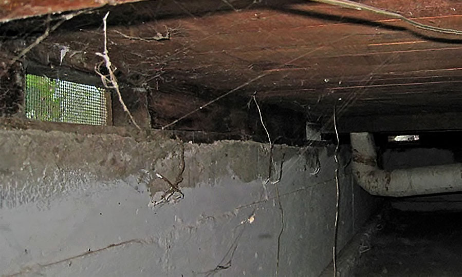DIY crawl space cleaning tips