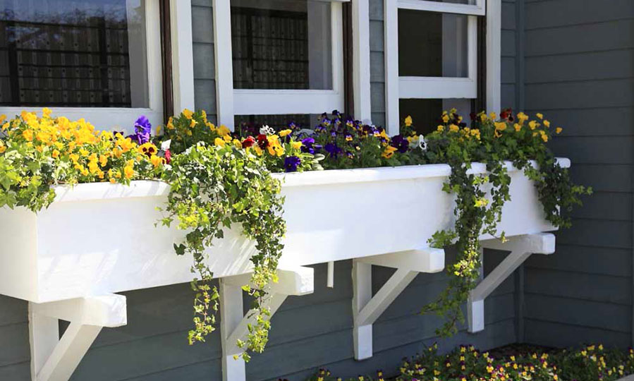 Common features of the best window boxes and planters