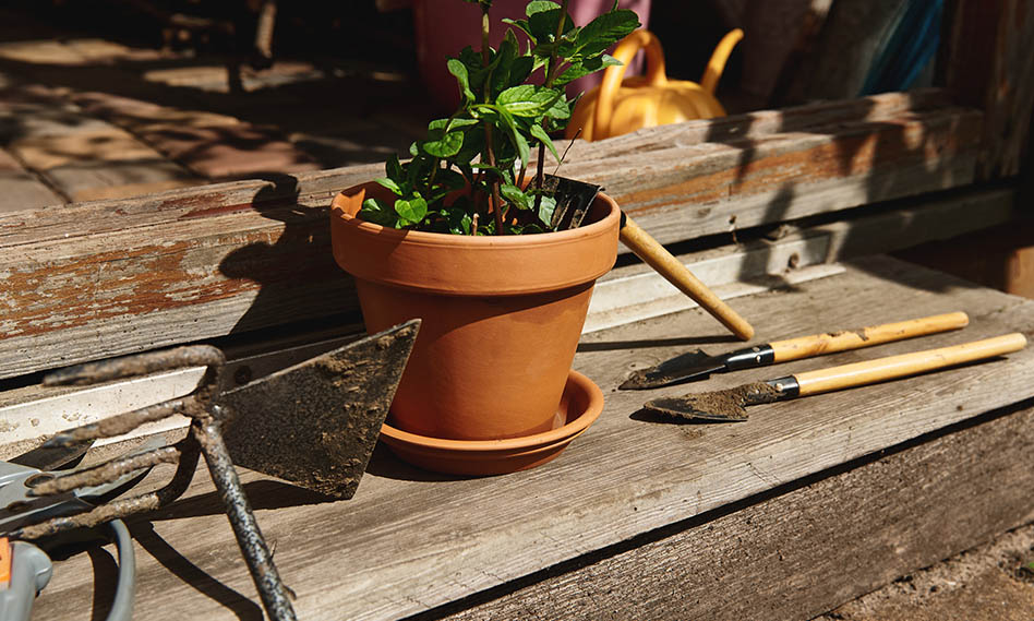 4 tips for buying gardening tools