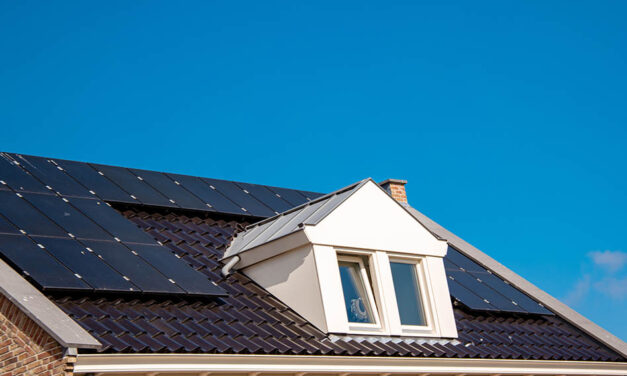 Solar panel savings: how much can you save when you make the switch?