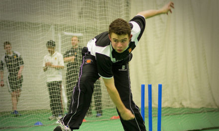 Indoor cricket is the new fast and furious