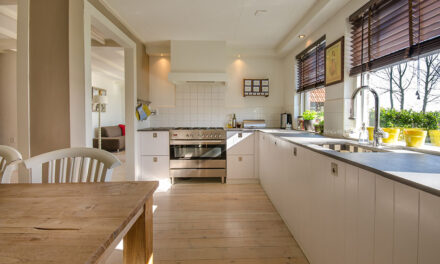 Top tips for spotless kitchen that everybody should know