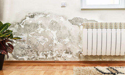 Frequently asked questions about mold damage explained