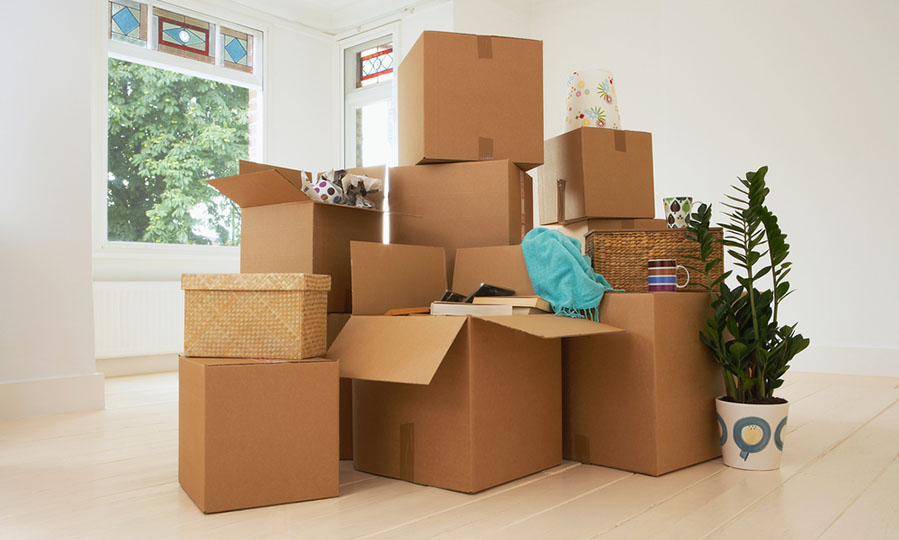 It’s moving day! Be responsible with your rubbish clearance!