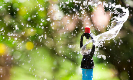 The different types of lawn sprinklers, explained