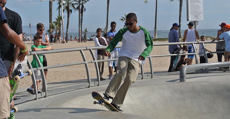 venice beach skateboard