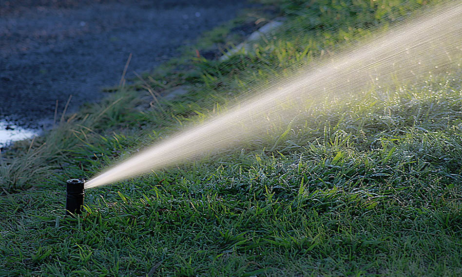How to choose an irrigation system: everything you need to know