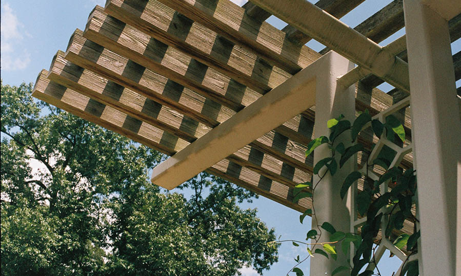 5 reasons to build a pergola this summer